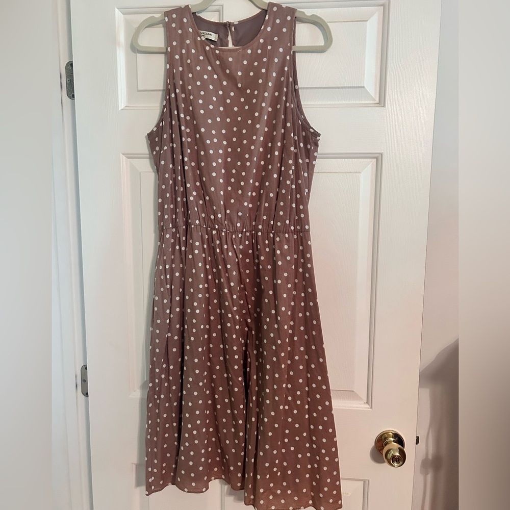 Brown & White Polka Dot Dress